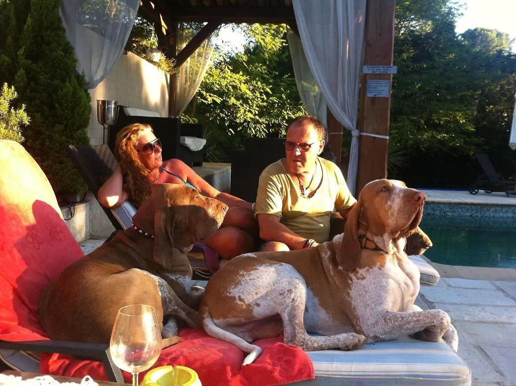 Bed & Breakfast Bed and Breakfast Le Mas Shabanou Roquefort Les Pins